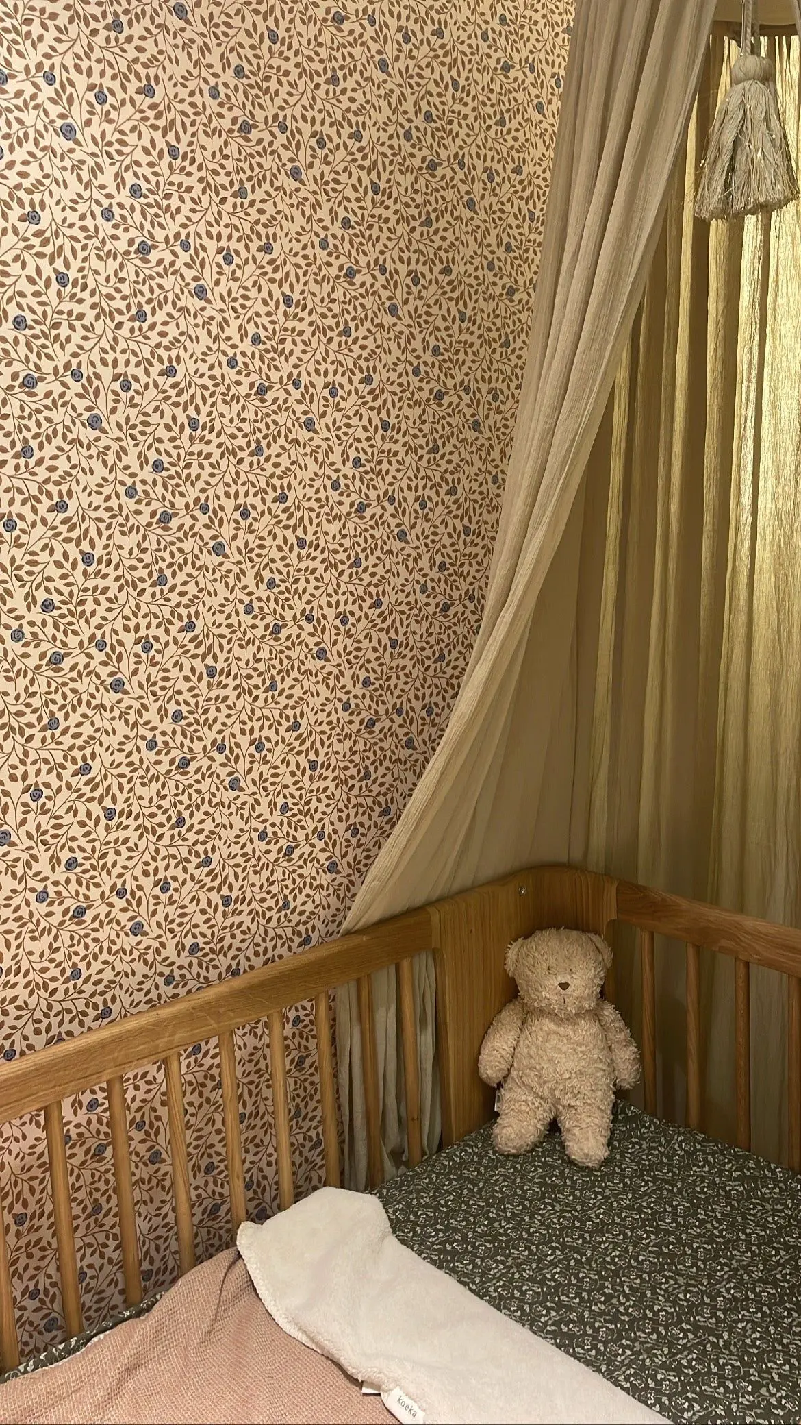 summer-gray-climbing-rose-bronze-Flora-07