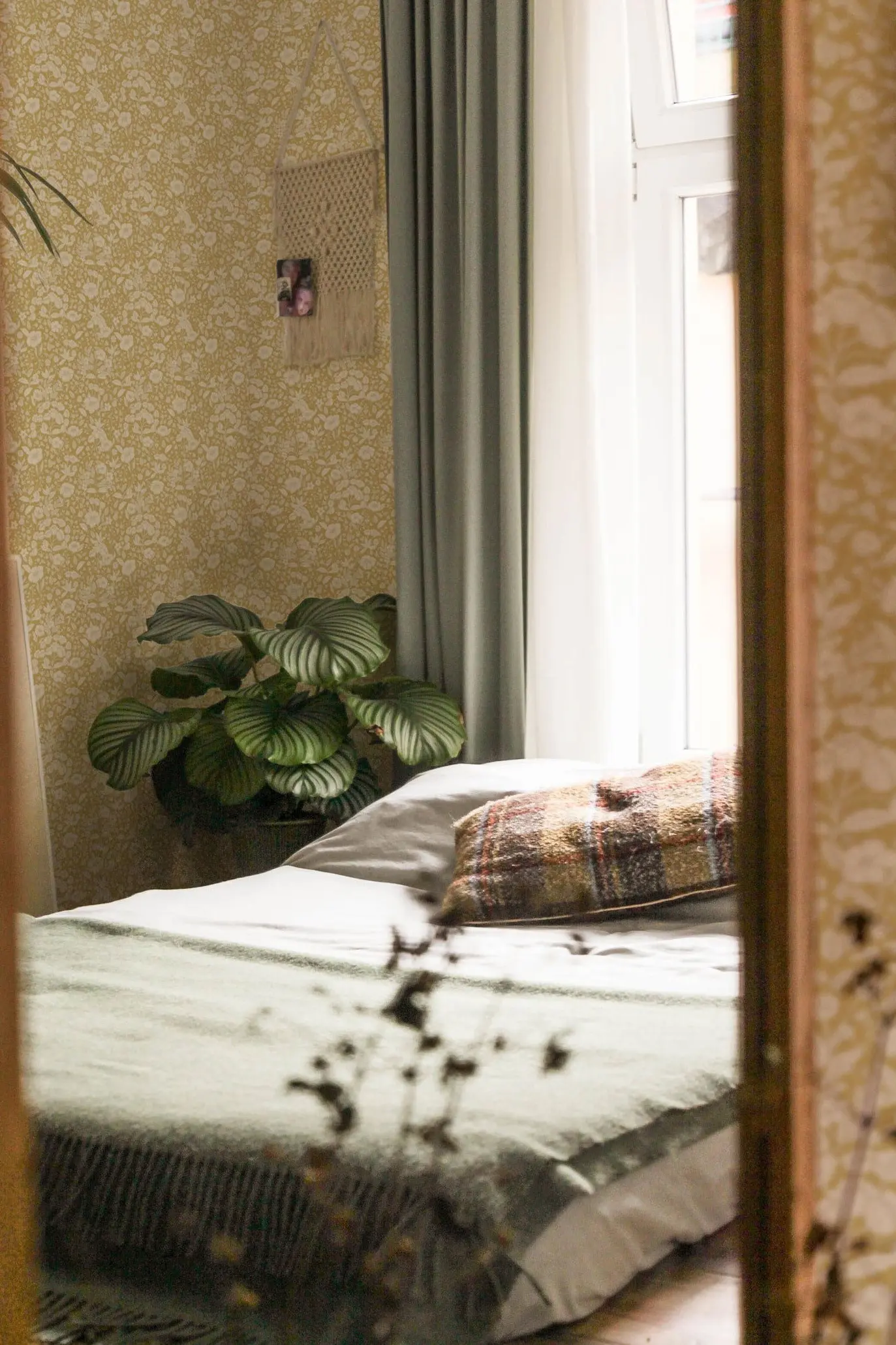 summer gray doris mustard-ditsy_mustard_2