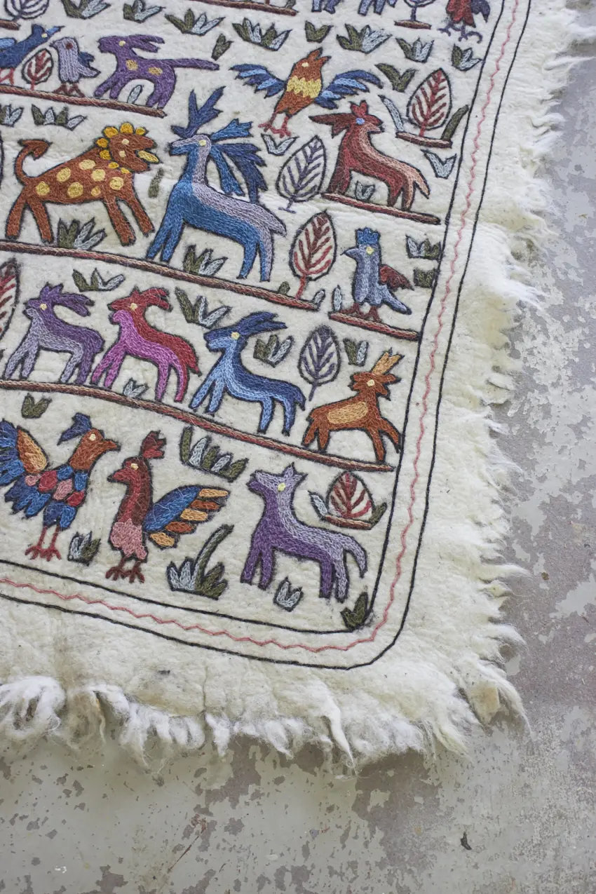 MAJ010---Dierenkleed-uit-India-big---Firma-Zoethout-010