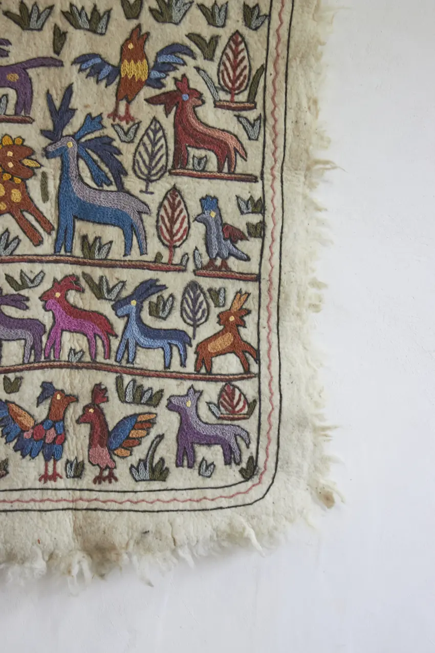 MAJ010---Dierenkleed-uit-India-big---Firma-Zoethout-03