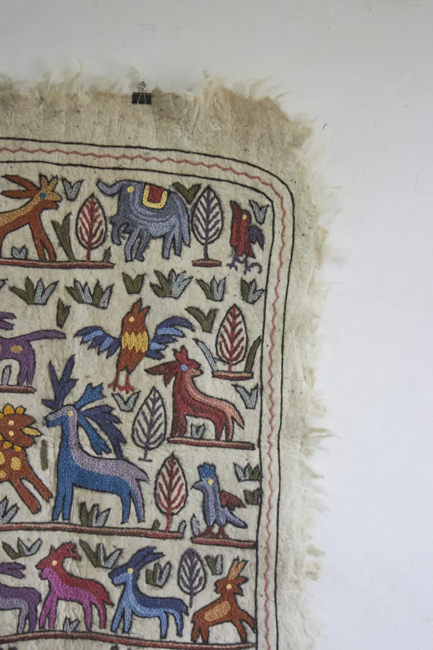 MAJ010---Dierenkleed-uit-India-big---Firma-Zoethout-04