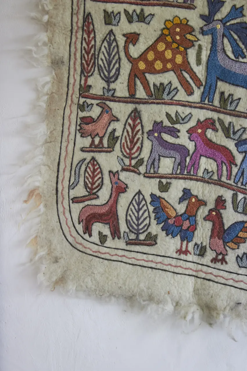 MAJ010---Dierenkleed-uit-India-big---Firma-Zoethout-05