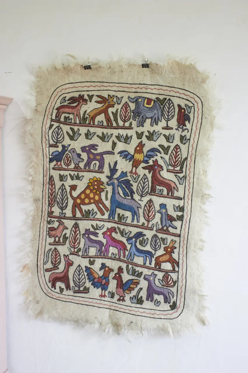 MAJ010---Dierenkleed-uit-India-big---Firma-Zoethout-06