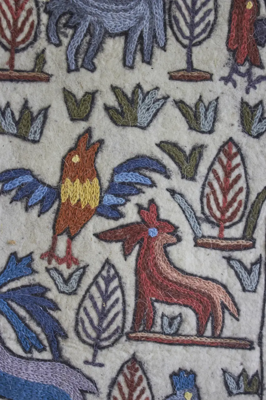 MAJ010---Dierenkleed-uit-India-big---Firma-Zoethout-08