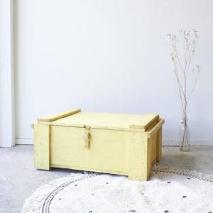 Grote vintage gele kist