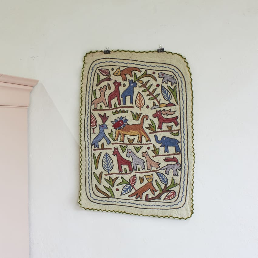 MAJ011-Dierenkleed-uit-India-small-Firma-Zoethout-00.jpg