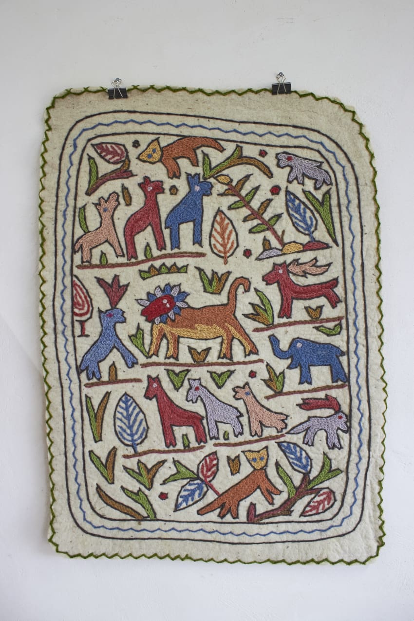 MAJ011---Dierenkleed-uit-India-small---Firma-Zoethout-01