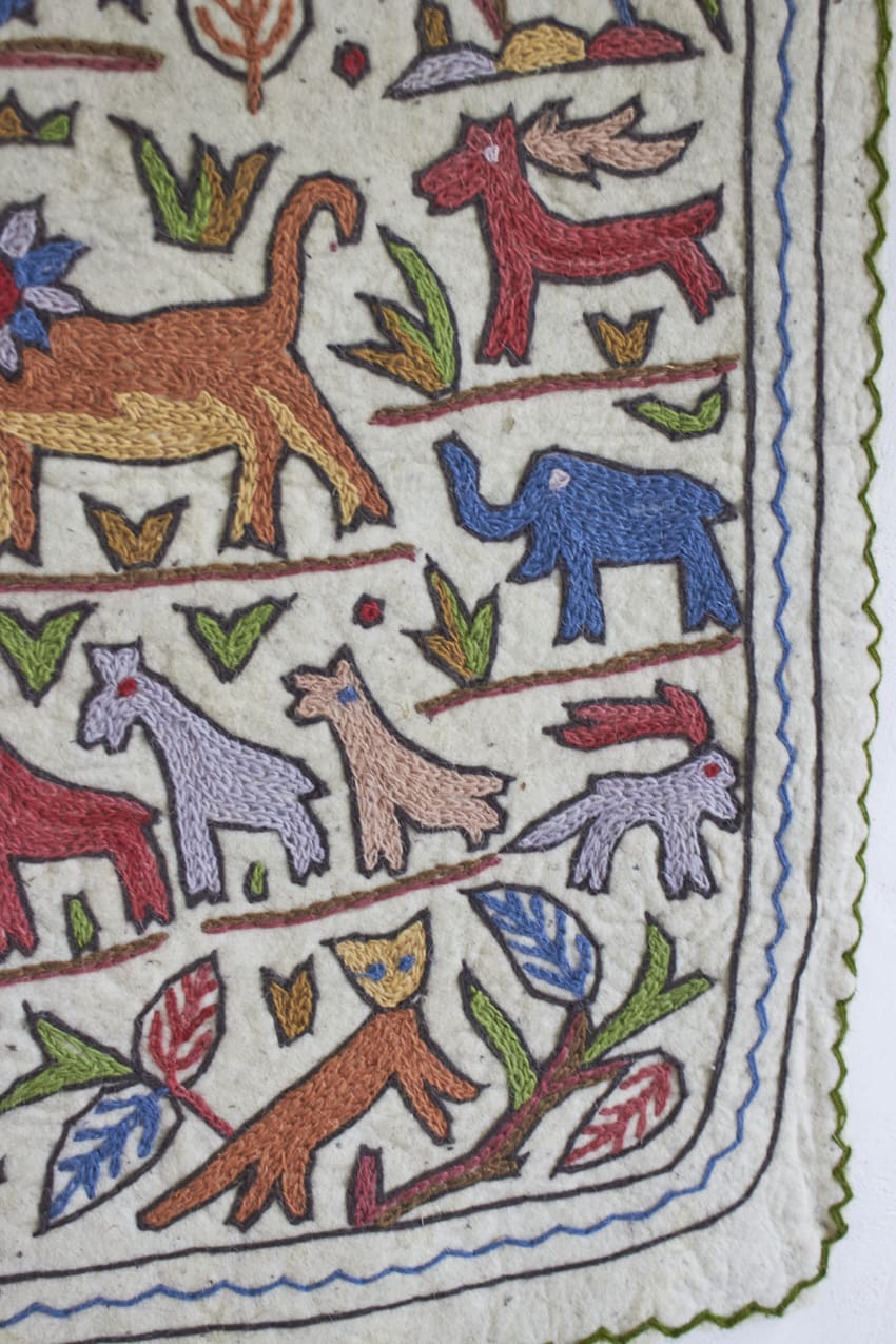 MAJ011---Dierenkleed-uit-India-small---Firma-Zoethout-02
