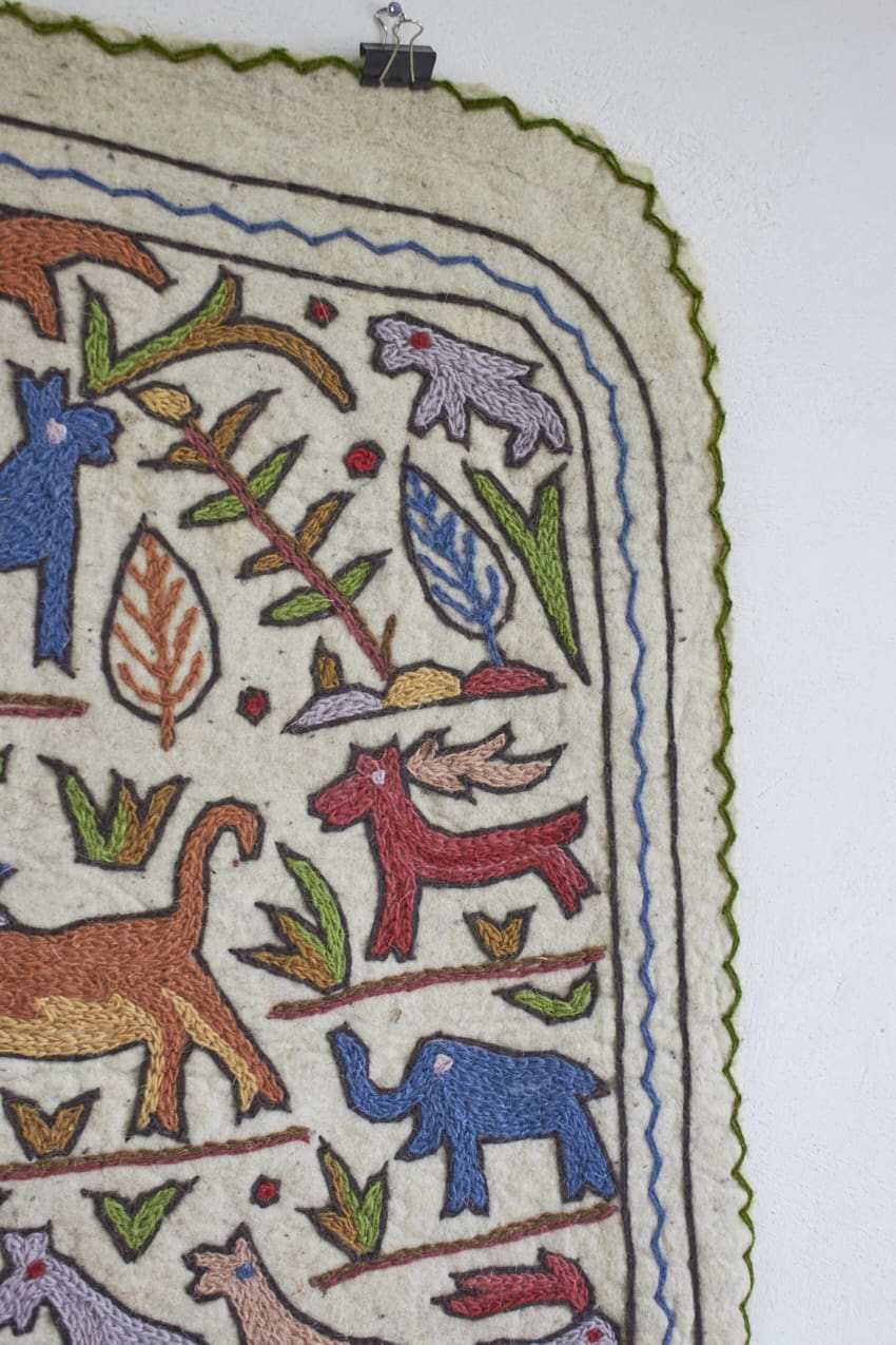 MAJ011---Dierenkleed-uit-India-small---Firma-Zoethout-03