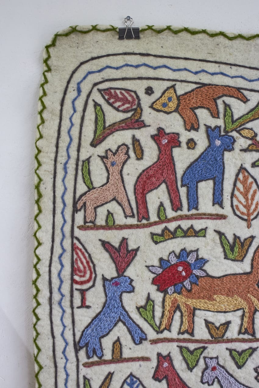 MAJ011---Dierenkleed-uit-India-small---Firma-Zoethout-04