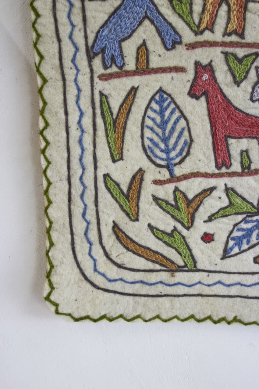 MAJ011---Dierenkleed-uit-India-small---Firma-Zoethout-05
