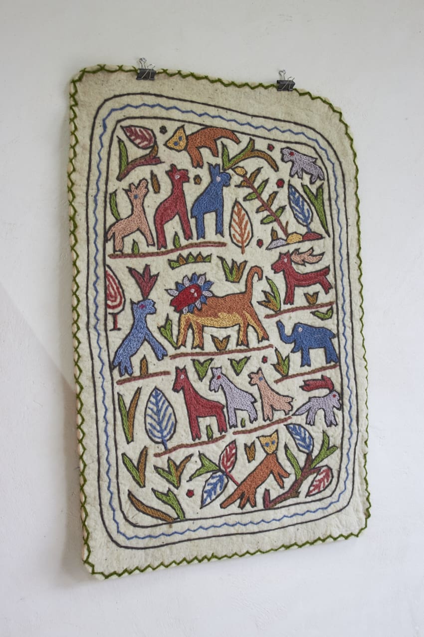 MAJ011---Dierenkleed-uit-India-small---Firma-Zoethout-06